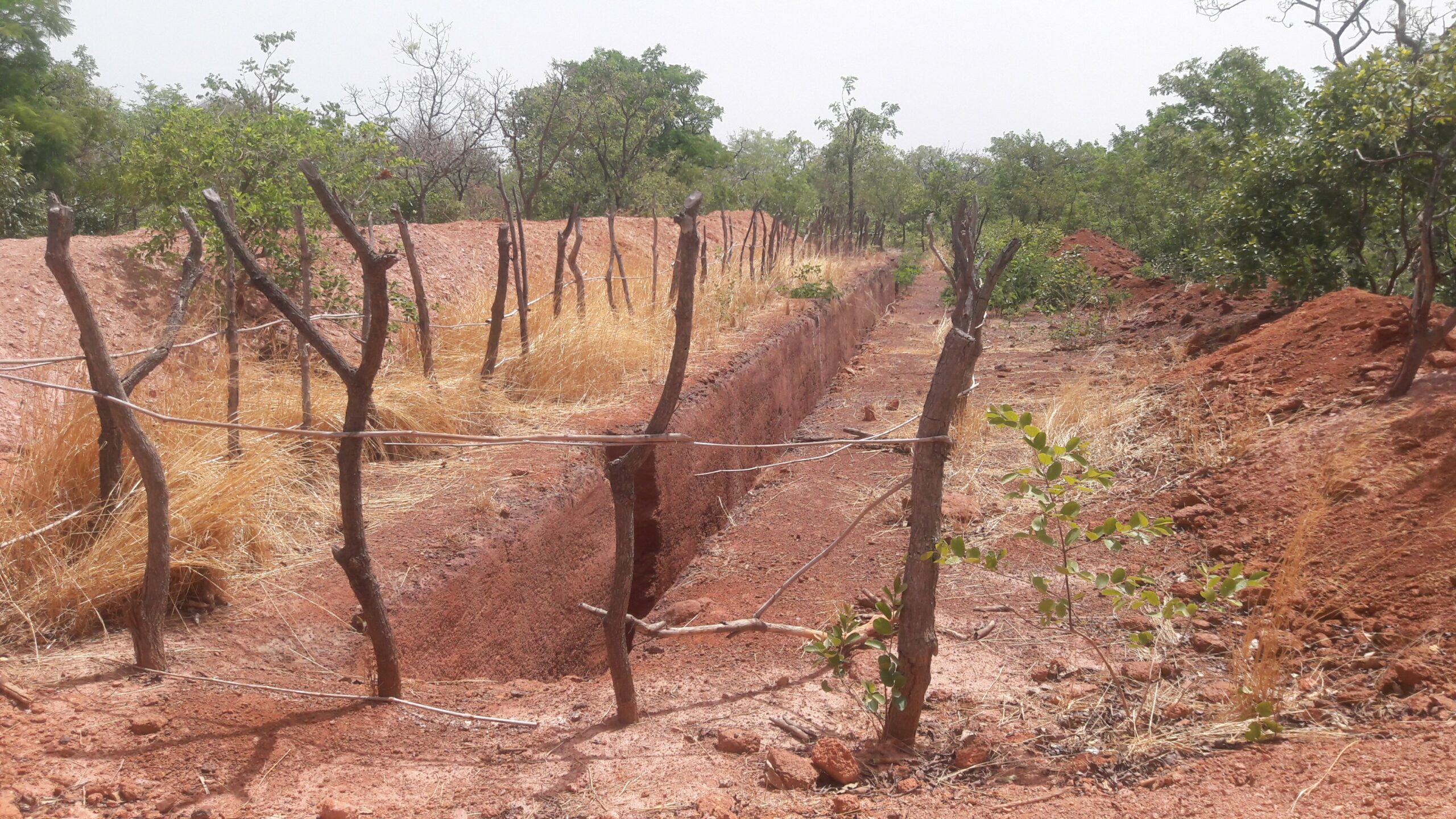 Trenching
